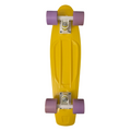 Playero Complete Mini Skateboard